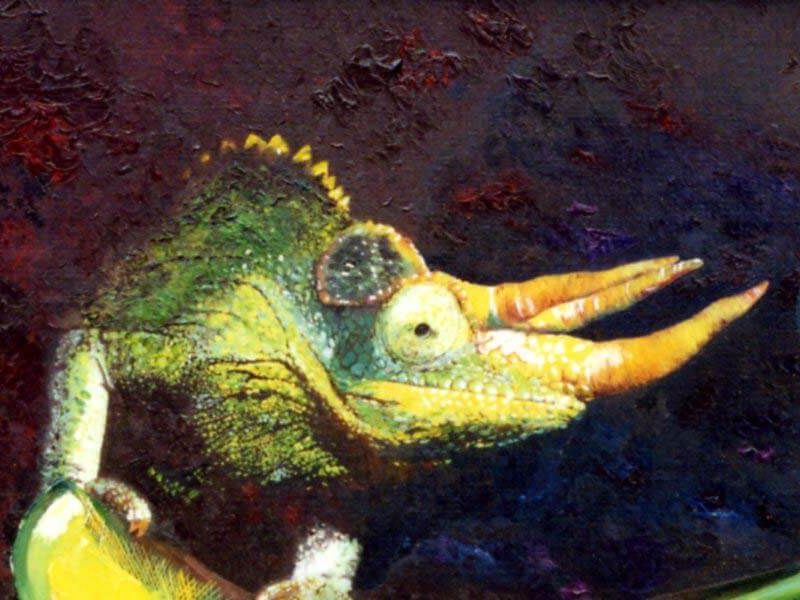 tableau représentant un caméléon