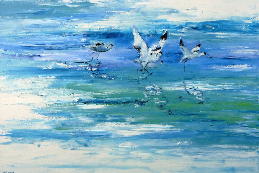 Vol d'avocettes